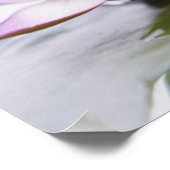 Poster Gros plan d'une nappe d'eau violette flottant sur (Coin)