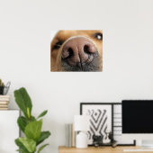 Poster Gros plan extrême sur le nez d'un chien. (Bureau à domicile)