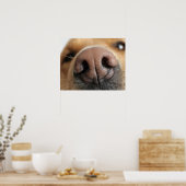 Poster Gros plan extrême sur le nez d'un chien. (Cuisine)