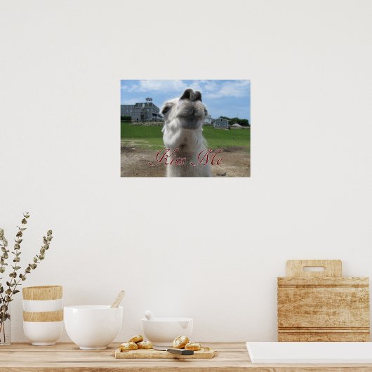 Poster Gros plan Kiss Me Llama (Cuisine)