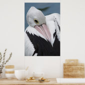 Poster Gros plan pélican australien (Cuisine)