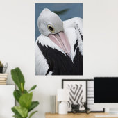 Poster Gros plan pélican australien (Bureau à domicile)