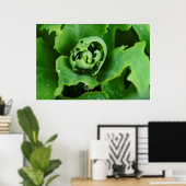 Poster Gros plan, plante succulent avec gouttelettes d'ea (Bureau à domicile)
