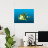 Poster Gros plan pour le poisson-boîte ! Arrière - plan b (Bureau à domicile)