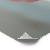 Poster Gros plan rose (Coin)