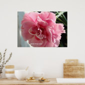 Poster Gros plan rose (Cuisine)