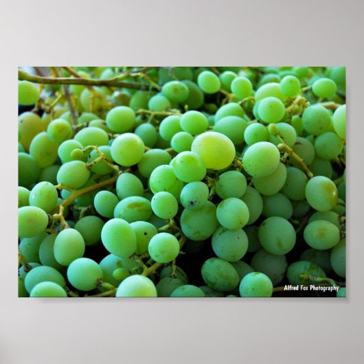 Poster Gros plan sur des raisins blancs (Devant)