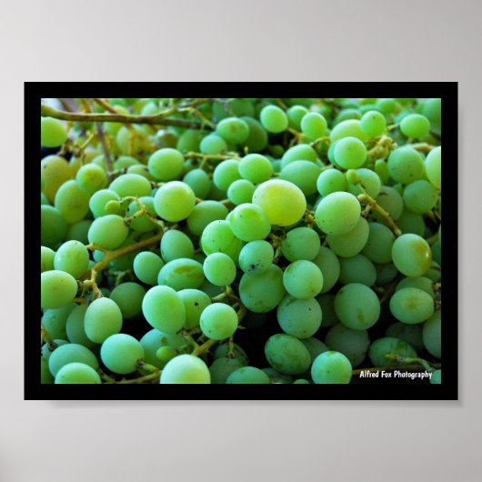 Poster Gros plan sur des raisins blancs (Devant)