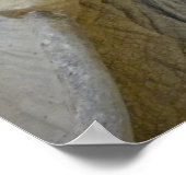 Poster Gros plan sur la tortue du désert (Coin)