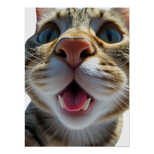 Poster Gros plan sur le chat | Goofy Cute Cat Art (Devant)
