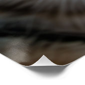 Poster Gros plan sur le chat | Goofy Cute Cat Art (Coin)