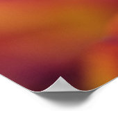 Poster Gros plan sur le dessous de la fleur de tulipe, 4 (Coin)