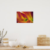 Poster Gros plan sur le dessous de la fleur de tulipe, 4 (Cuisine)