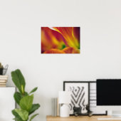 Poster Gros plan sur le dessous de la fleur de tulipe, 4 (Bureau à domicile)