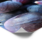 Poster Gros plan sur le fruit de figue violette (Coin)