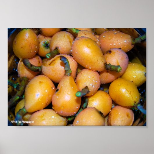 Poster Gros plan sur le fruit de néflier (Devant)