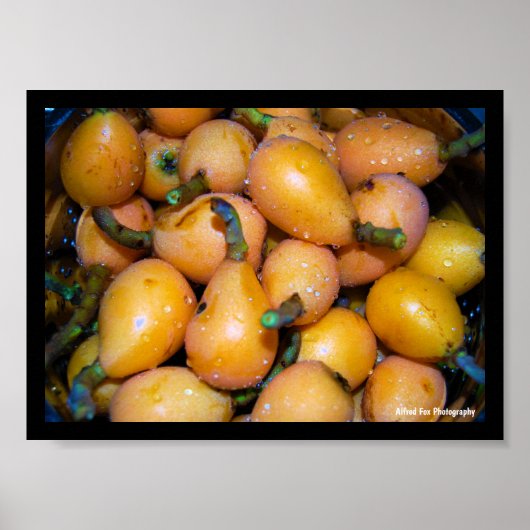 Poster Gros plan sur le fruit de néflier (Devant)