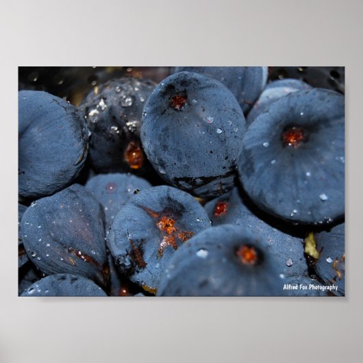Poster Gros plan sur le fruit du figuier (Devant)