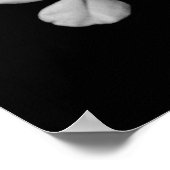 Poster Gros plan sur les fleurs noires et blanches (Coin)