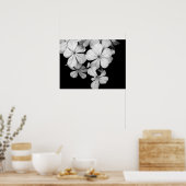 Poster Gros plan sur les fleurs noires et blanches (Cuisine)