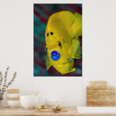 Poster Gros plan sur un poisson ange (Cuisine)