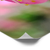 Poster Gros plan sur une fleur de prunier (Coin)