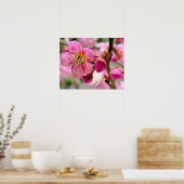 Poster Gros plan sur une fleur de prunier (Cuisine)