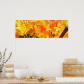 Poster Gros plan Tulipes orange et jaune (Cuisine)