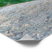 Poster Gros Tiger Cub (Coin)