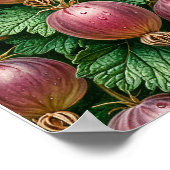Poster Groseille nature art (Coin)