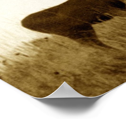 Poster Grosse balle de cerf mule (Coin)