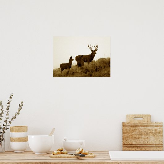 Poster Grosse balle de cerf mule (Cuisine)