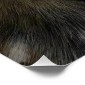 Poster Grosse chatte Panthère noire (Coin)