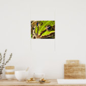 Poster Grosse d'eau commune (Cuisine)