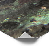 Poster Grosse 'Ol Pair de Bigeyes (Coin)