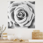 Poster Grosse Rose blanche artistique (Cuisine)