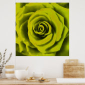 Poster Grosse rose jaune (Cuisine)
