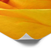 Poster Grosse rose jaune (Coin)