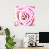 Poster Grosse rose pâle (Bureau à domicile)
