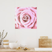 Poster Grosse rose pâle (Cuisine)