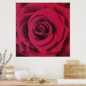 Poster Grosse Rose rouge (Cuisine)