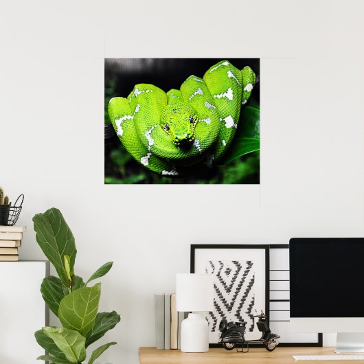 Poster Grosse toile de serpent de cou vert (Bureau à domicile)