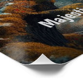 Poster Grosse torche à queue rouge (Coin)