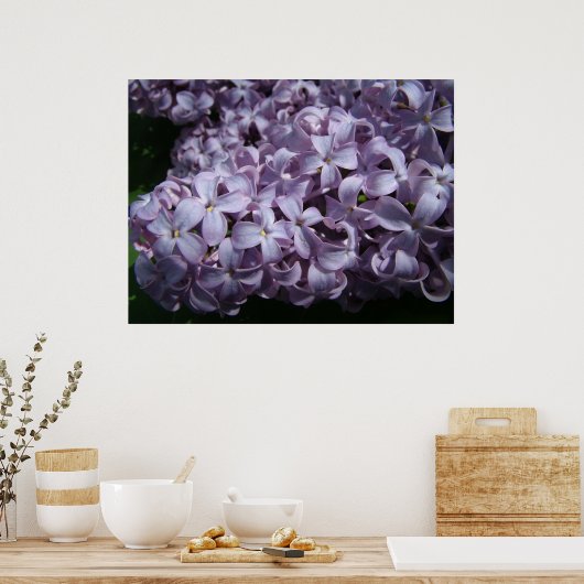 Poster Grosses fleurs de Lilac (Cuisine)