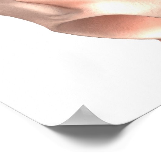 Poster Grossesse (Coin)