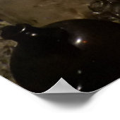 Poster Grotte des Pirates (Coin)