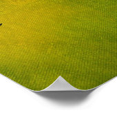 Poster groupe 0508 (Coin)