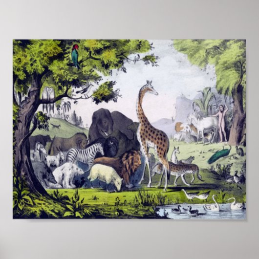 Poster Groupe d'animaux (Devant)