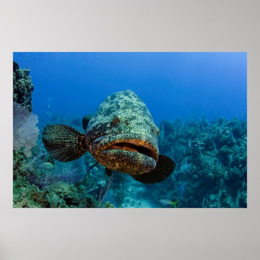 Poster Groupe de Atlantic (Devant)