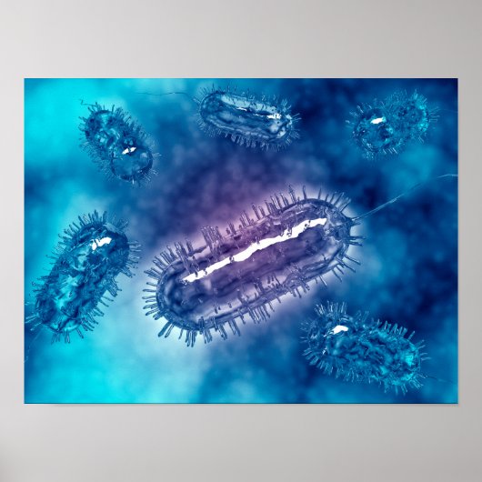 Poster Groupe De Cellules Bactéries Escherichia Coli 1 (Devant)